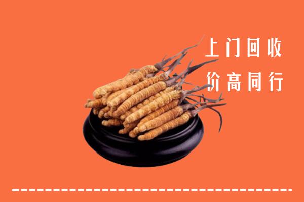 高价求购：庆阳回收散虫草
