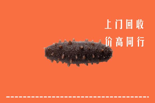 高价求购：庆阳回收海参