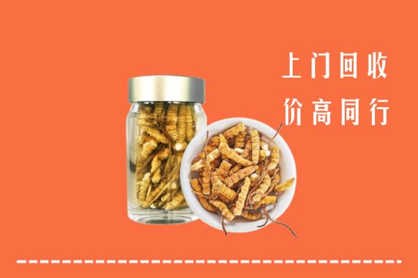 庆阳回收冬虫夏草