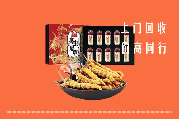 庆阳回收虫草
